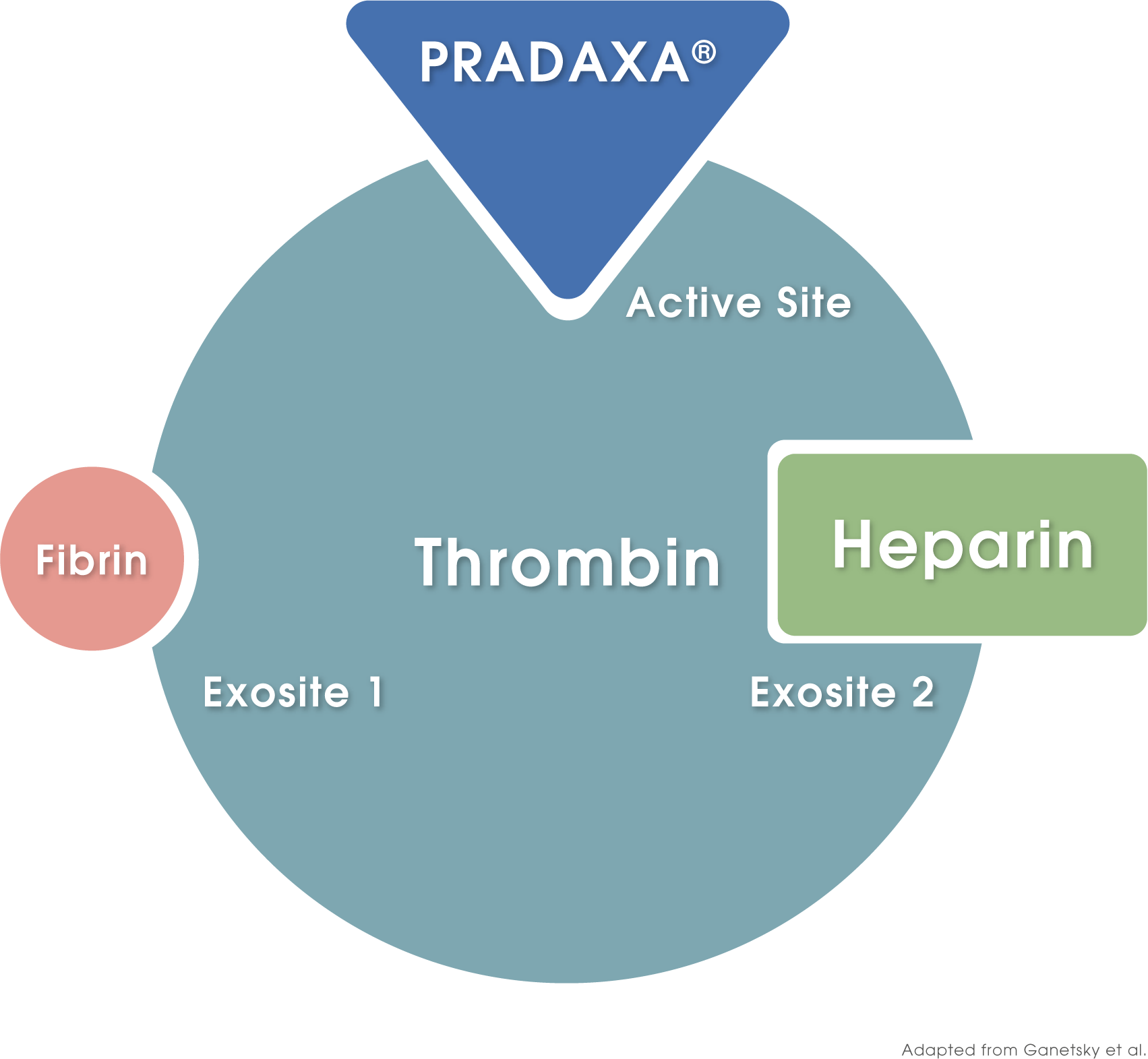 Jardiance Mechanism Of Action