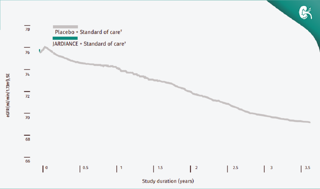 Jardiance Maintains Kidney Function and Reduce the Risk of Nephropathy
